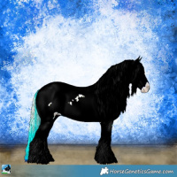 Horse Color:Silver Buckskin Ice Sabino Splash Tobiano Blanket Rabicano 