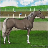 Horse Color:Silver Black Tobiano 