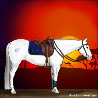 Horse Color:Buckskin Sabino Splash 