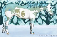 Horse Color:Watercolor Brown Splash