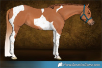 Horse Color:Chestnut Tobiano 
