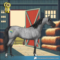 Horse Color:Blue Roan Rabicano 