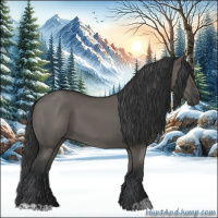 Horse Color:Grullo  and Grullo 