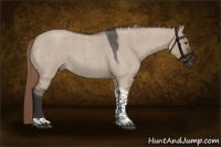 Horse Color:Liver Red Dun Roan Tobiano Rabicano
