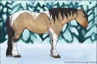 Horse Color:Buckskin Dun Tobiano Rabicano 