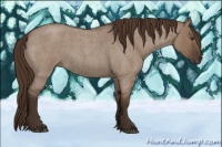 Horse Color:Liver Red Dun Roan Rabicano 