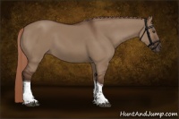 Horse Color:Liver Red Dun Tobiano Rabicano 