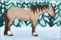 Horse Color:Liver Red Dun Tobiano Rabicano 