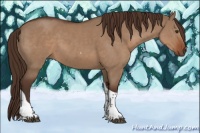 Horse Color:Liver Red Dun Tobiano Rabicano 