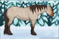 Horse Color:Liver Red Dun Roan Rabicano 