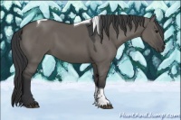 Horse Color:Grullo Tobiano 