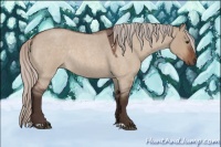 Horse Color:Silver Brown Roan Dun Rabicano 