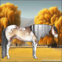 Horse Color:Bay Onyx Tobiano Rabicano 