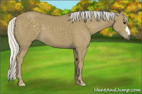 Horse Color:Silver Smoky Black 