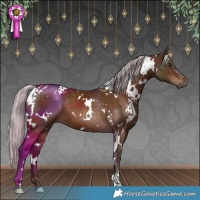 Horse Color:White Spotted Silver Brown