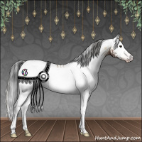 Horse Color:Gray White Spotted Amber Champagne Onyx 