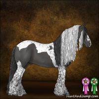 Horse Color:Black Tobiano 