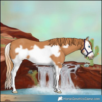 Horse Color:Chestnut Splash Frame 
