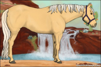 Horse Color:Palomino 