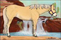 Horse Color:Palomino 