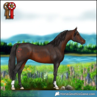 Horse Color:Brown 