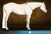 Horse Color:Silver Amber Cream Champagne Dun Tobiano 