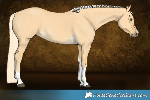 Horse Color:Palomino Dun Tobiano 