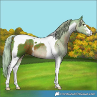Horse Color:Watercolor Silver Brown Tobiano 