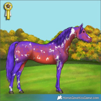 Horse Color:Watercolor White Spotted Brown 