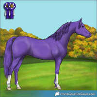 Horse Color:Watercolor Black 