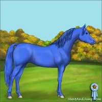 Horse Color:Watercolor Black