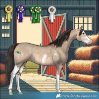 Horse Color:Bay Dun Sabino 