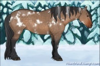 Horse Color:White Spotted Brown Dun Rabicano 