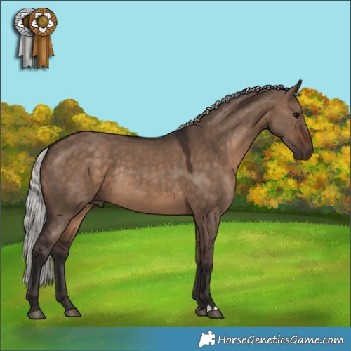 Horse Color:Silver Brown Dun Rabicano 