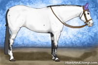 Horse Color:Black Tobiano Appaloosa 