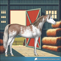 Horse Color:White Spotted Chestnut Splash 