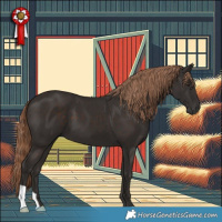 Horse Color:Liver Chestnut 