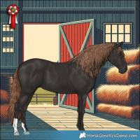 Horse Color:Liver Chestnut 