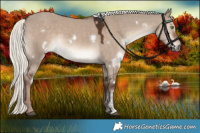 Horse Color:White Spotted Liver Red Dun Mushroom Sabino