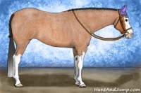 Horse Color:Bay Roan Splash 