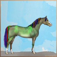 Horse Color:Painted Liver Red Dun Roan Sabino