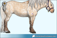Horse Color:Red Dun Near Leopard  and Silver Bay Dun 