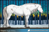 Horse Color:White Spotted Liver Chestnut Sabino Rabicano