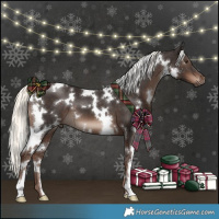 Horse Color:White Spotted Liver Chestnut Mushroom 