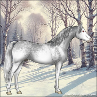 Horse Color:White Spotted Silver Black Chinchilla Tobiano 