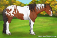 Horse Color:Brown Sabino Tobiano Appaloosa 