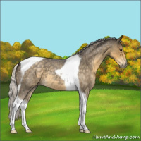 Horse Color:Silver Smoky Blue Roan Tobiano 