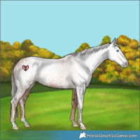 Horse Color:Gray Gold Champagne Ice 
