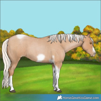 Horse Color:Silver Blue Roan Pearl Tobiano Frame 