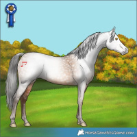 Horse Color:Gray Amber Champagne 